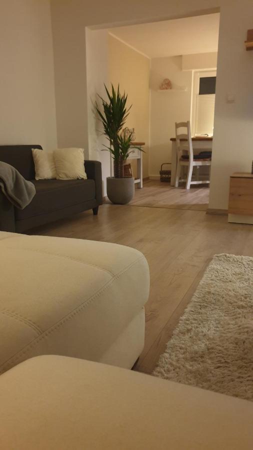 Boardingappartement Windeckblick, Ruhige, Zentrale Lage Mit Grossem Suedbalkon Bühl Exterior foto