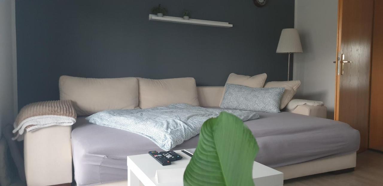 Boardingappartement Windeckblick, Ruhige, Zentrale Lage Mit Grossem Suedbalkon Bühl Exterior foto